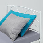 Durable Adult Industrial Steel Pipe Bunk Bed Heatproof Anti Freezing